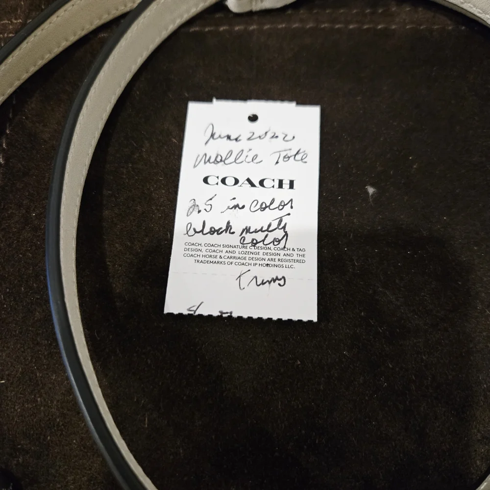 Coach Mollie Tote 25 in Colorblock. - Picture 4 of 12